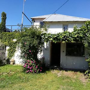 Casa Viaut